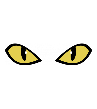 Cat eyes