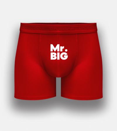 Mr. BIG